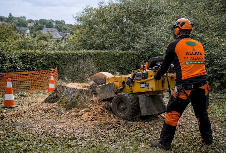 Dessouchage de souche et remise en état du terrain dans les Yvelines (78)