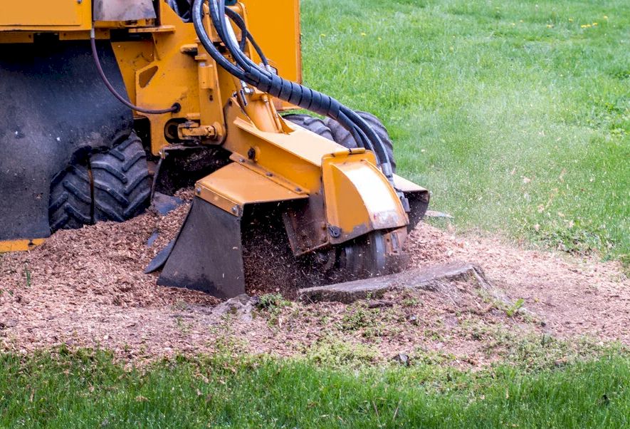 Évacuation des copeaux après rognage de souche - Élagueur 78