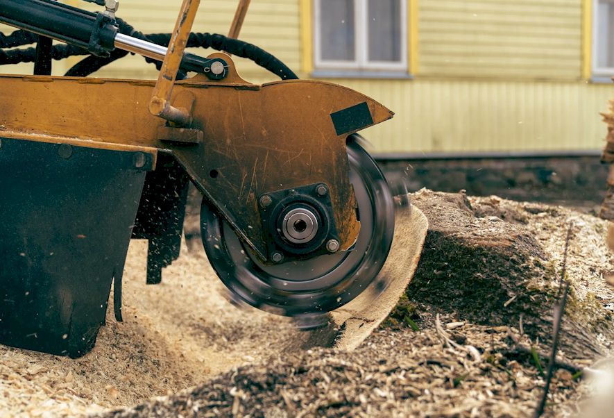 Dessouchage avant aménagement paysager - Yvelines 78